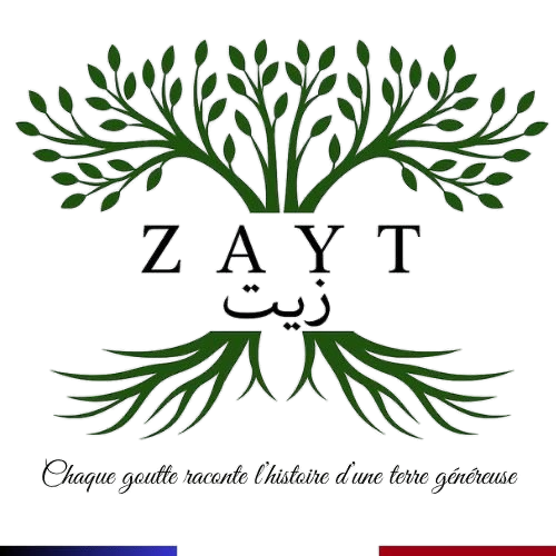logo zayt